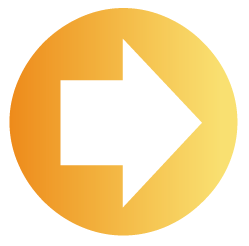 e-Portfolio